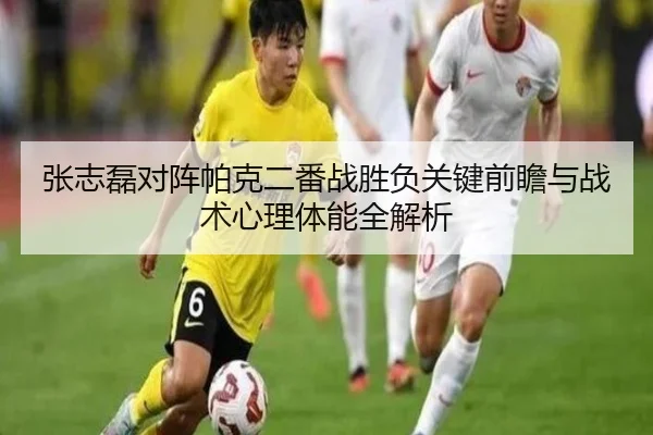 张志磊对阵帕克二番战胜负关键前瞻与战术心理体能全解析